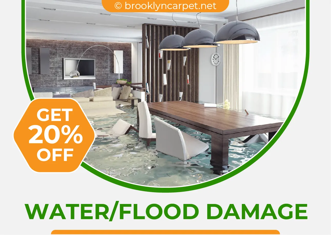 carpet cleaning in brooklyn, carpet cleaning in new york, carpet cleaning brooklyn, carpet cleaners in brooklyn, carpet cleaners in new york, commercial carpet cleaning, commercial carpet cleaning in brooklyn, brooklyn rug cleaners, rug cleaning services in brooklyn, same day carpet cleaning, same day rug cleaning